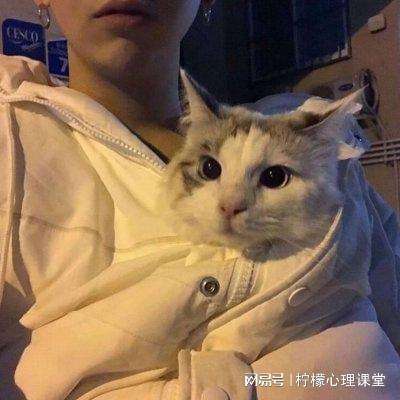 怒三国bt版公益服下载